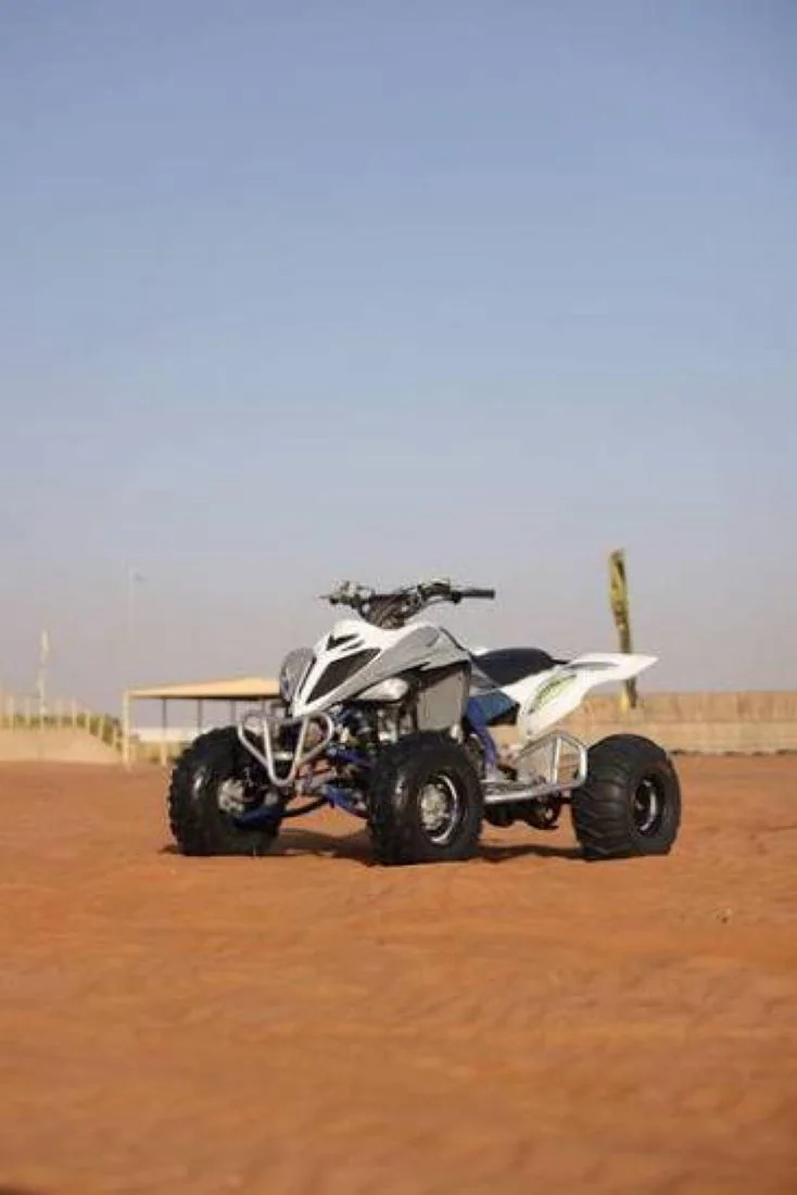 Desert Safari Dubai image 4